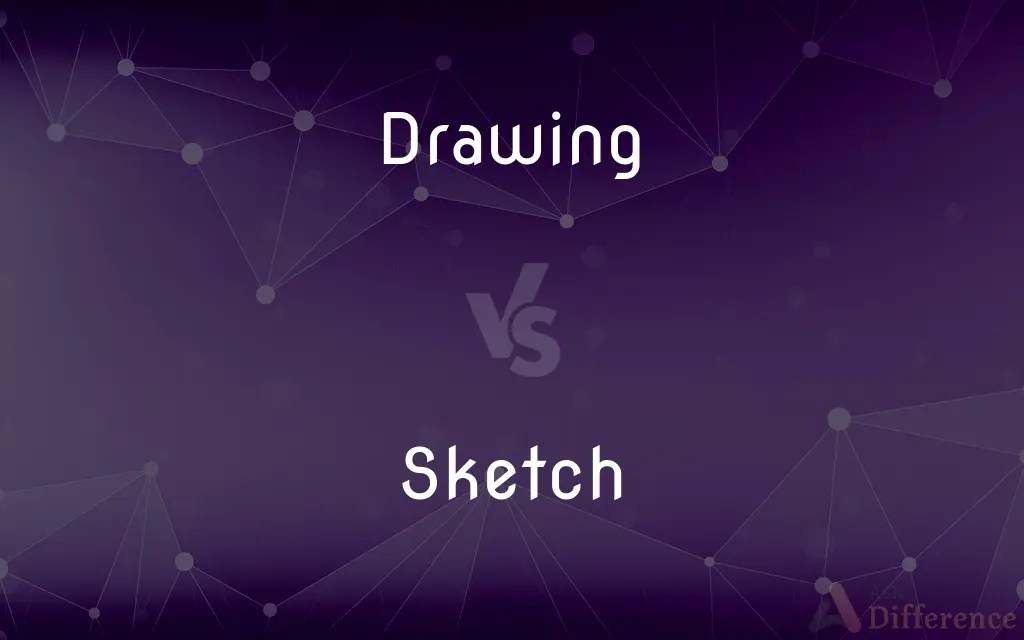 Drawing vs. Sketch — What’s the Difference?