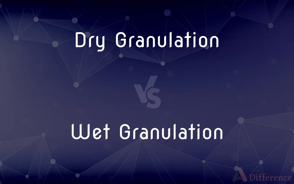 Dry Granulation vs. Wet Granulation — What’s the Difference?