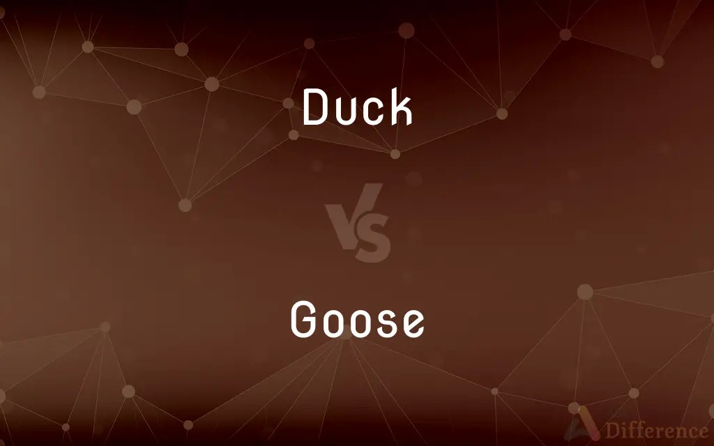 Duck vs. Goose — What’s the Difference?