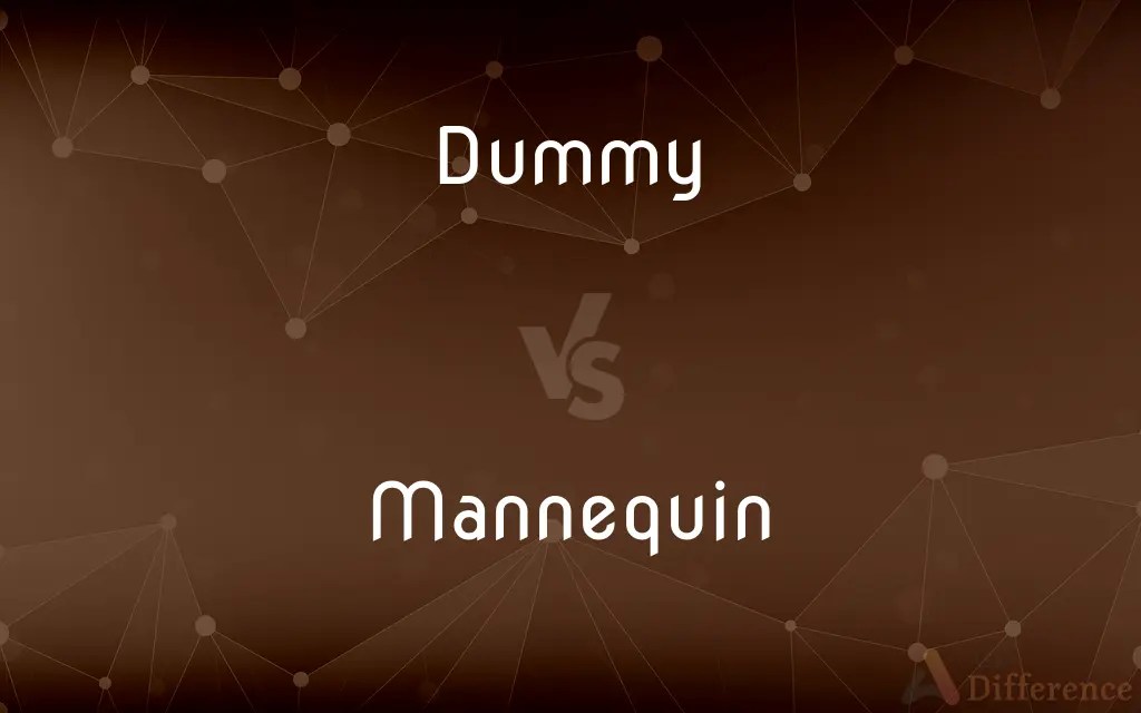 Dummy vs. Mannequin — What’s the Difference?