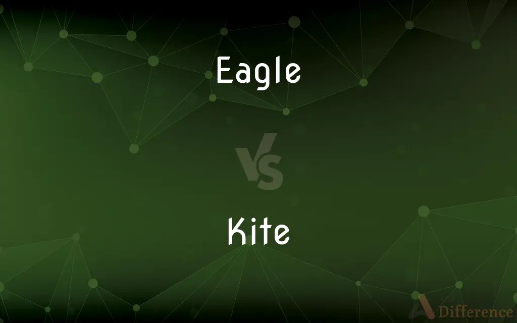 Eagle vs. Kite — What’s the Difference?