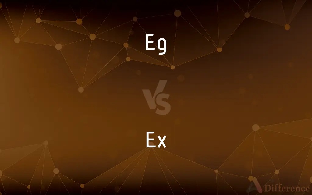 Eg vs. Ex — What’s the Difference?