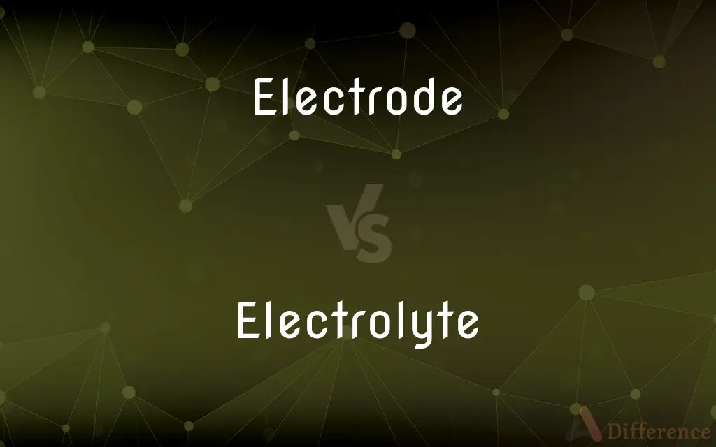 Electrode vs. Electrolyte — What’s the Difference?
