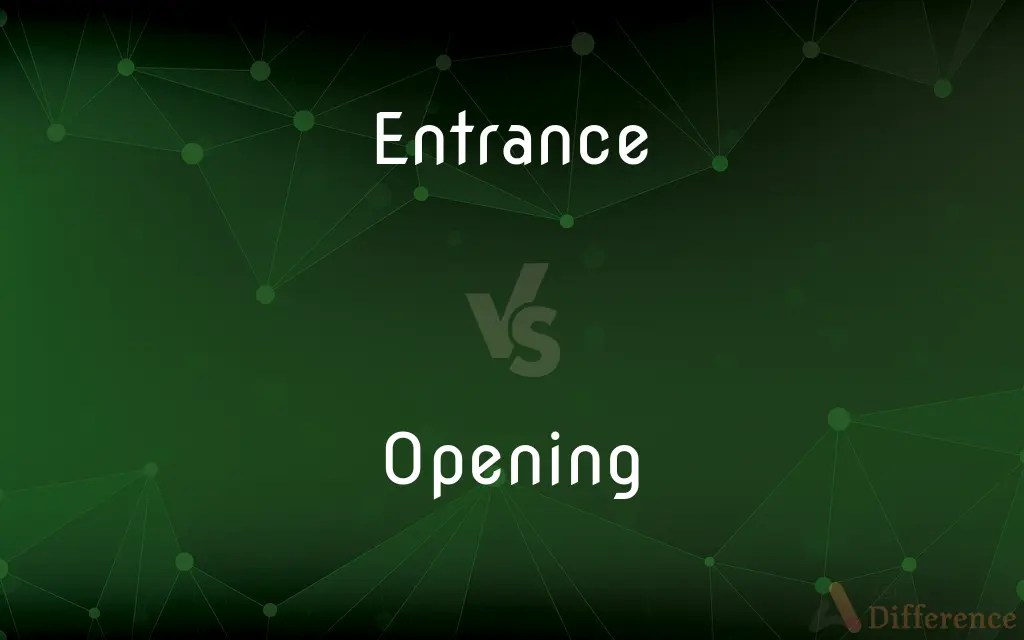 Entrance vs. Opening — What’s the Difference?