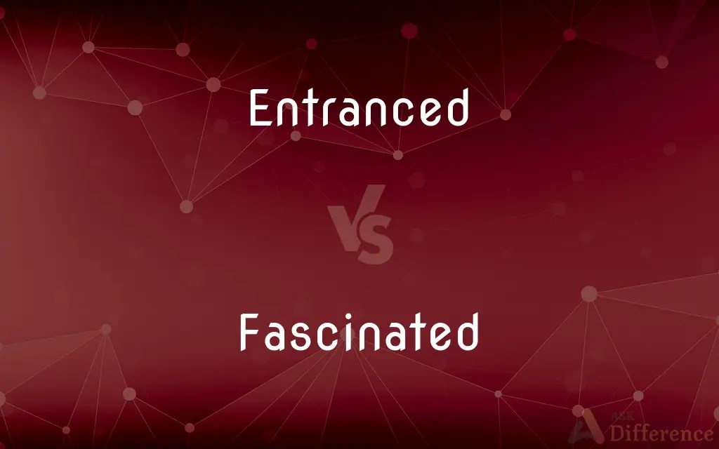 Entranced vs. Fascinated — What’s the Difference?