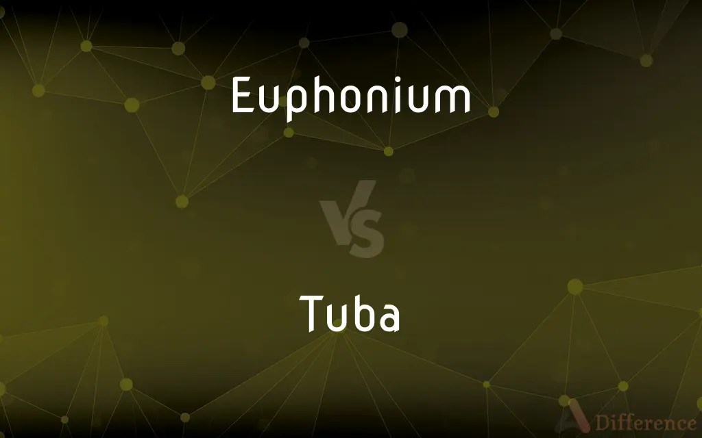 Euphonium vs. Tuba — What’s the Difference?
