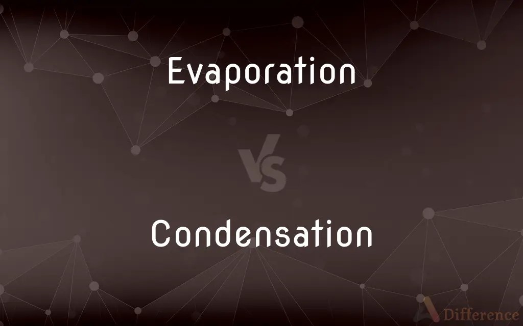 Evaporation vs. Condensation — What’s the Difference?