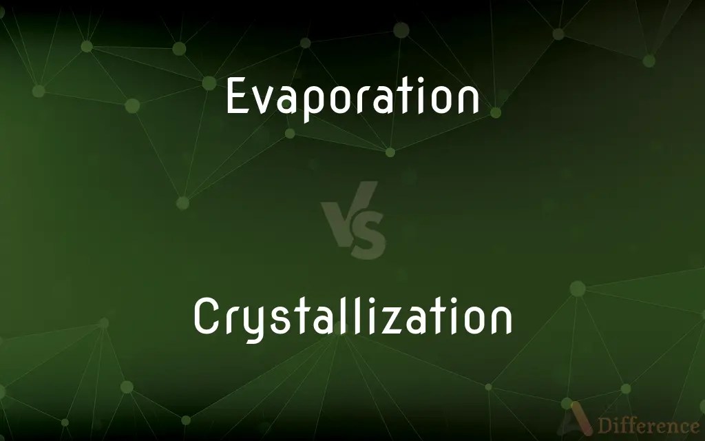 Evaporation vs. Crystallization — What’s the Difference?