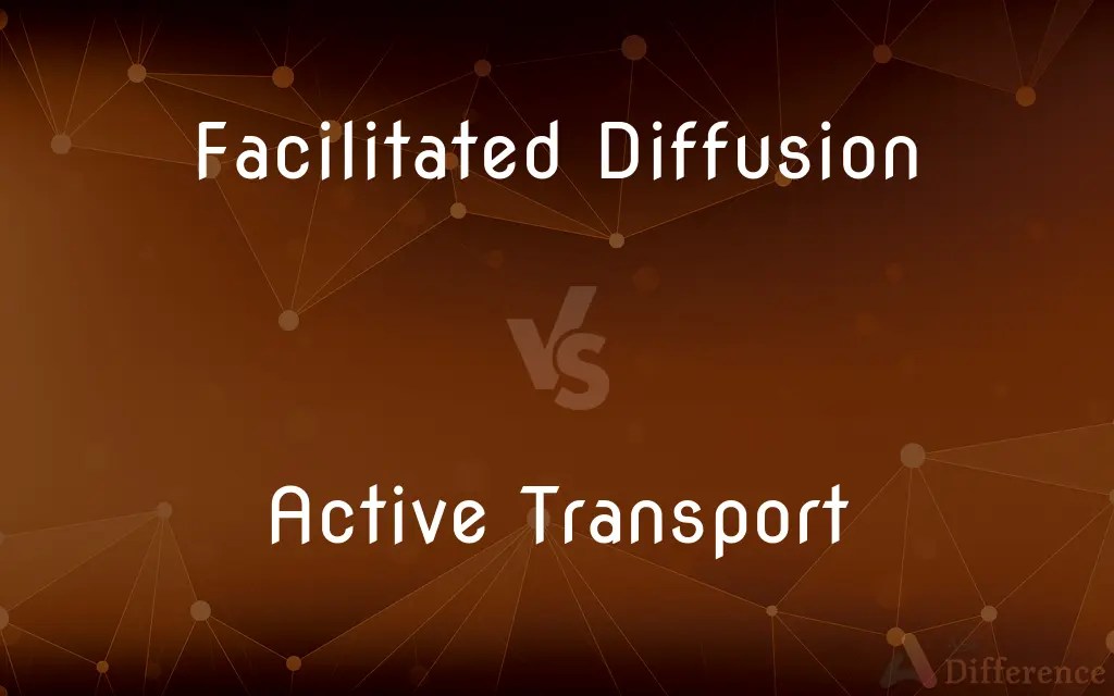 Facilitated Diffusion vs. Active Transport — What’s the Difference?