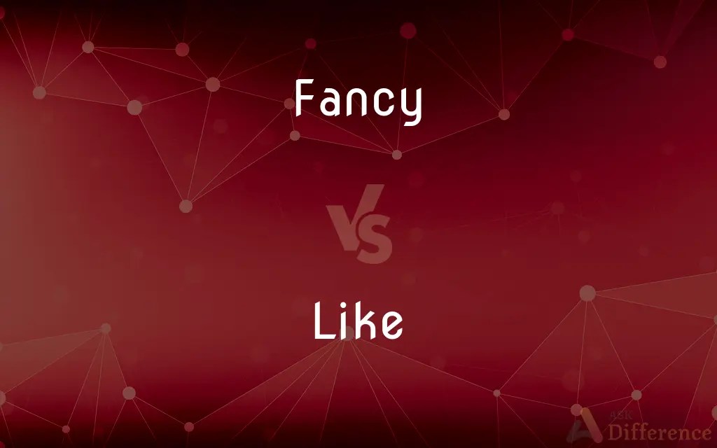 Fancy vs. Like — What’s the Difference?