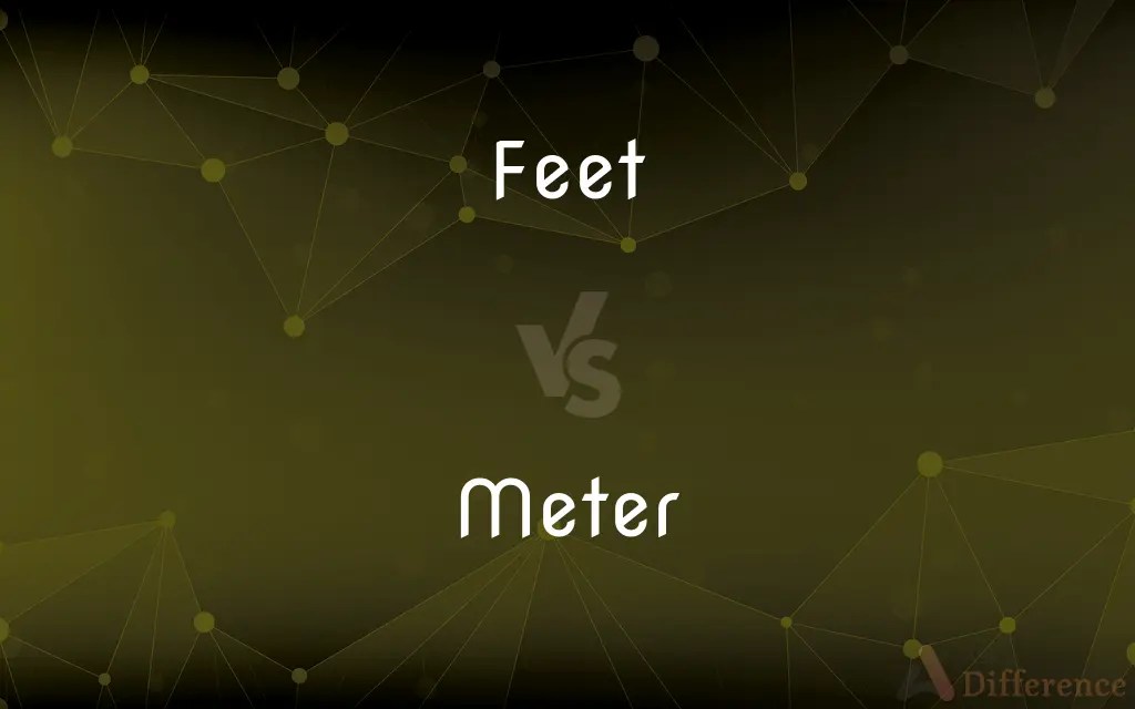Feet vs. Meter — What’s the Difference?