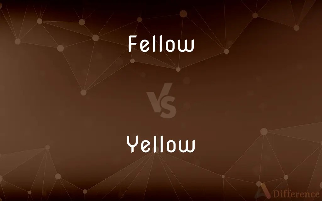 Fellow vs. Yellow — What’s the Difference?