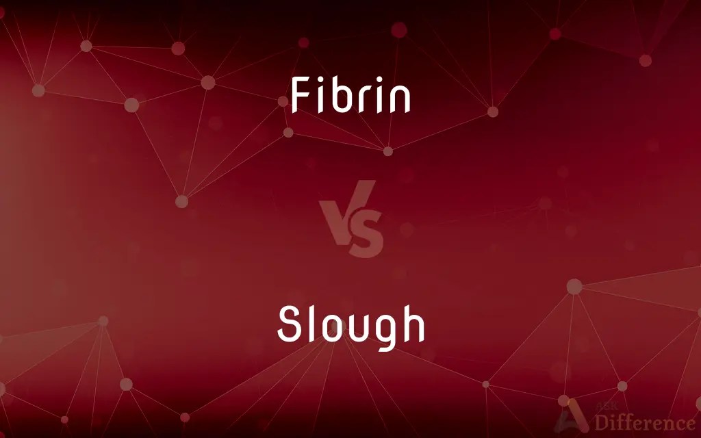 Fibrin vs. Slough — What’s the Difference?