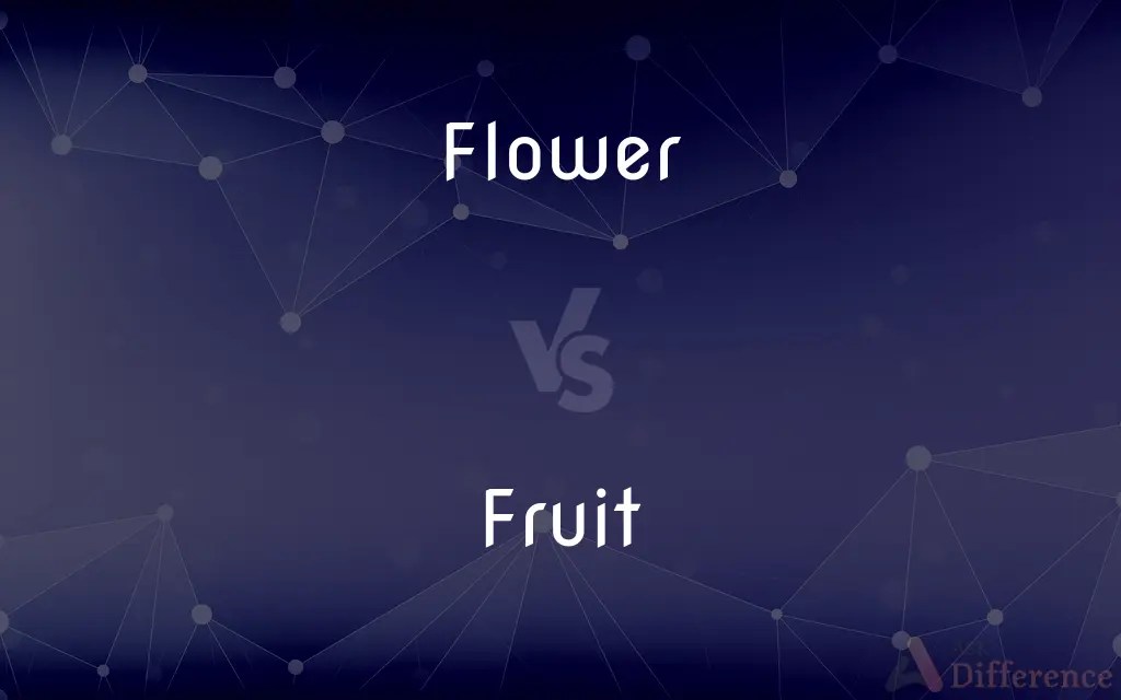 Flower vs. Fruit — What’s the Difference?