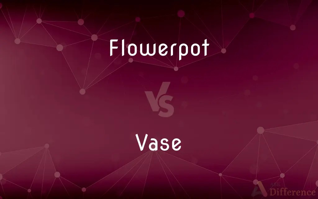 Flowerpot vs. Vase — What’s the Difference?