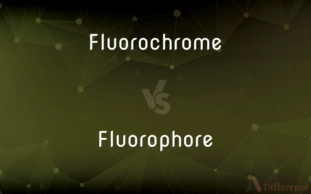 Fluorochrome vs. Fluorophore — What’s the Difference?