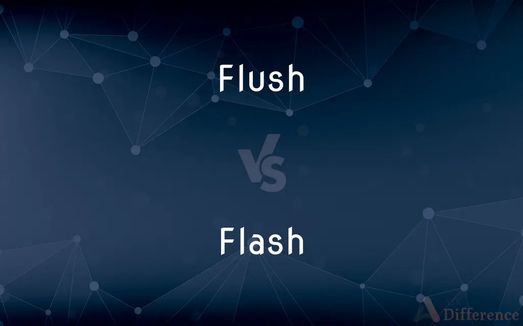 Flush vs. Flash — What’s the Difference?