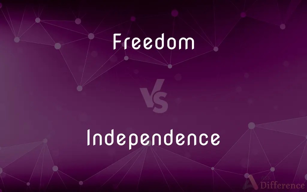 Freedom vs. Independence — What’s the Difference?