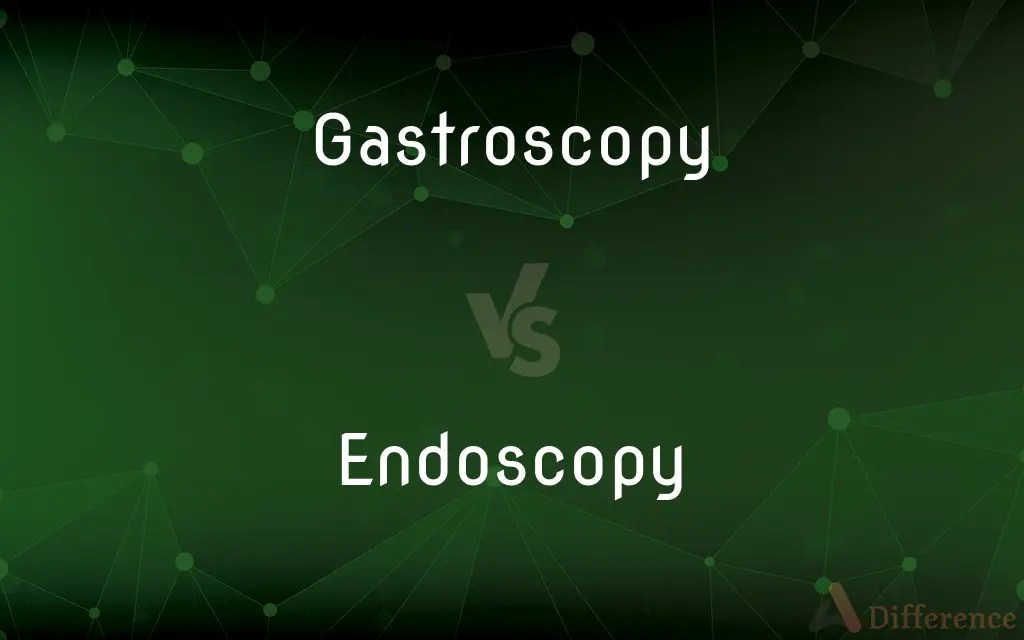 Gastroscopy vs. Endoscopy — What’s the Difference?