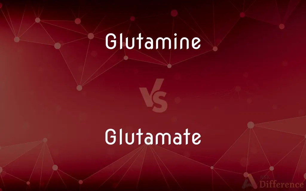 Glutamine vs. Glutamate — What’s the Difference?