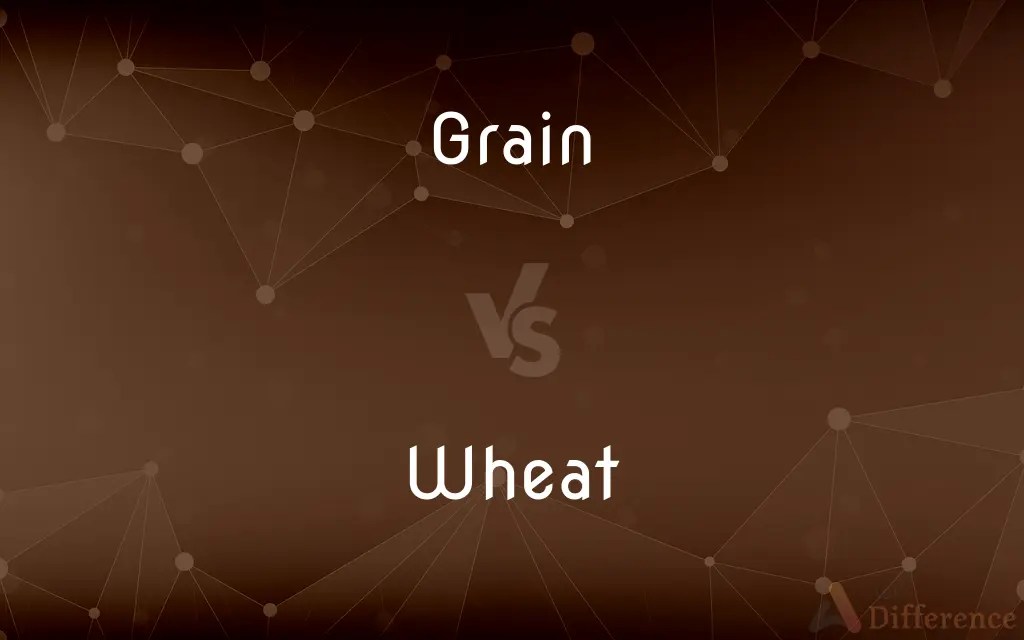 Grain vs. Wheat — What’s the Difference?