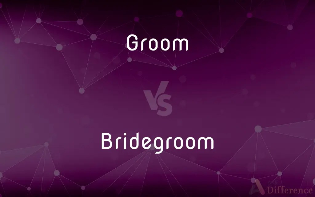 Groom vs. Bridegroom — What’s the Difference?