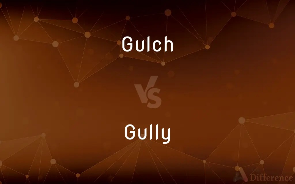 Gulch vs. Gully — What’s the Difference?