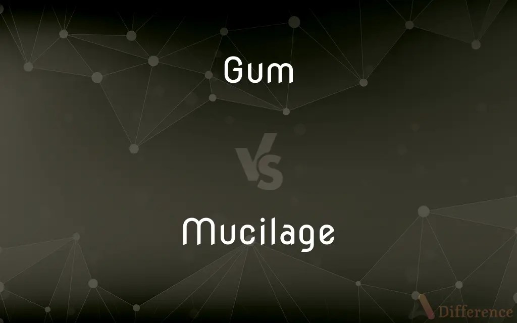 Gum vs. Mucilage — What’s the Difference?