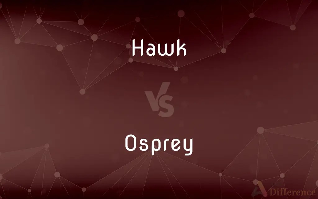 Hawk vs. Osprey — What’s the Difference?