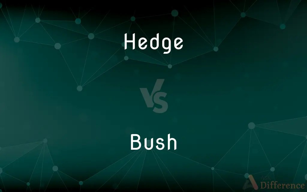 Hedge vs. Bush — What’s the Difference?