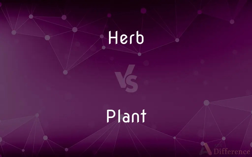 Herb vs. Plant — What’s the Difference?