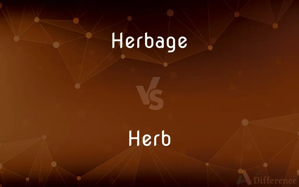 Herbage vs. Herb — What’s the Difference?