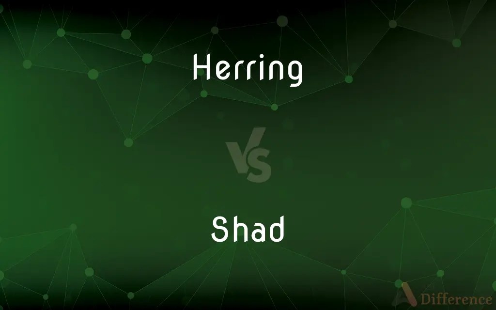 Herring vs. Shad — What’s the Difference?