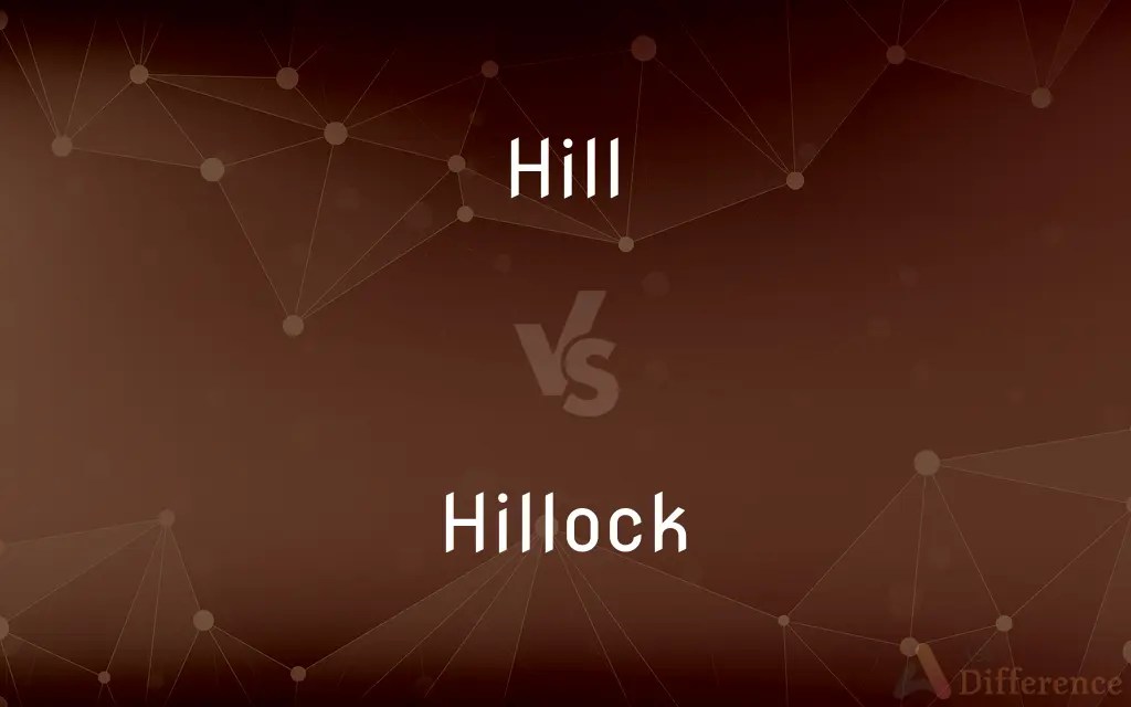 Hill vs. Hillock — What’s the Difference?