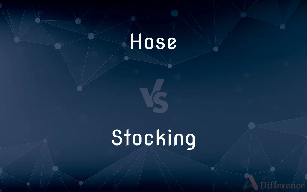 Hose vs. Stocking — What’s the Difference?
