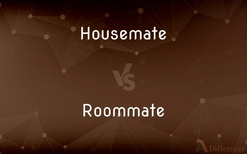Housemate vs. Roommate — What’s the Difference?