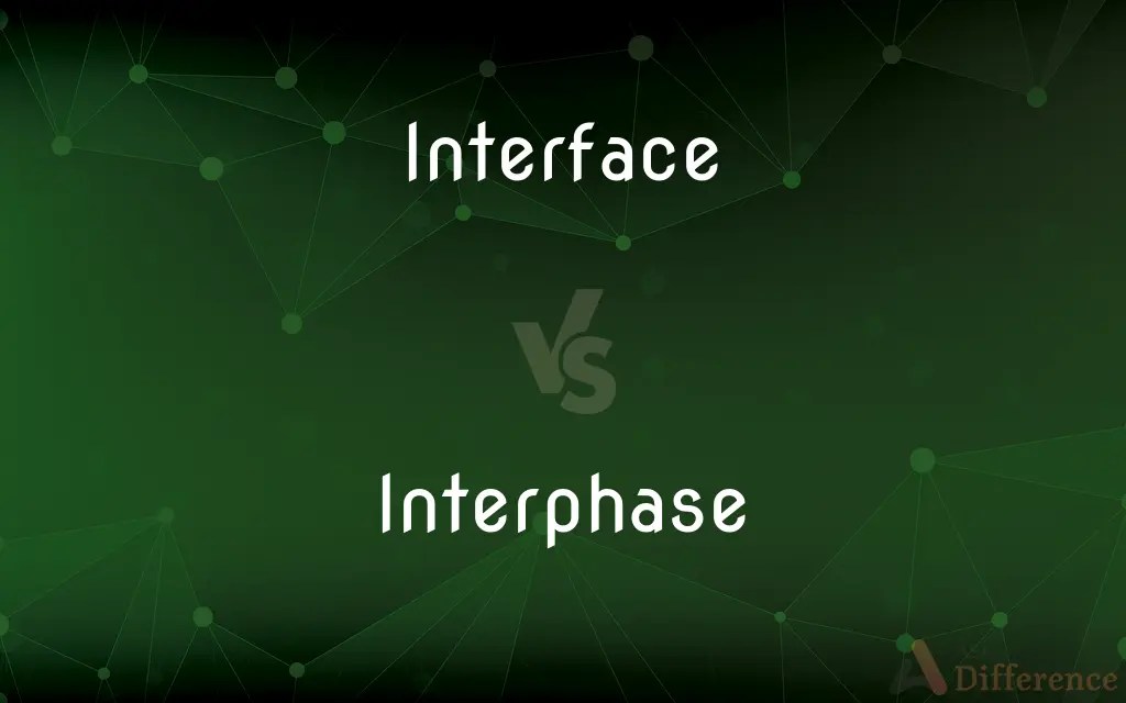 Interface vs. Interphase — What’s the Difference?