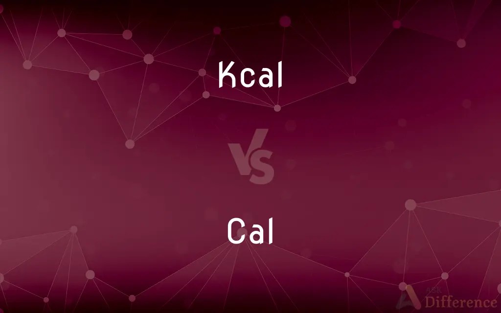 Kcal vs. Cal — What’s the Difference?