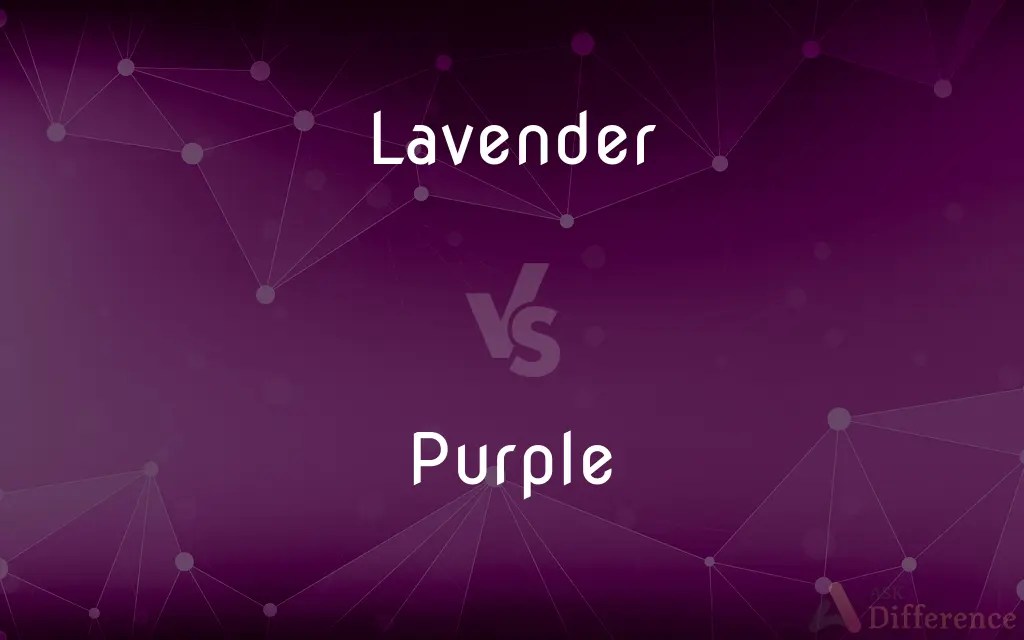 Lavender vs. Purple — What’s the Difference?