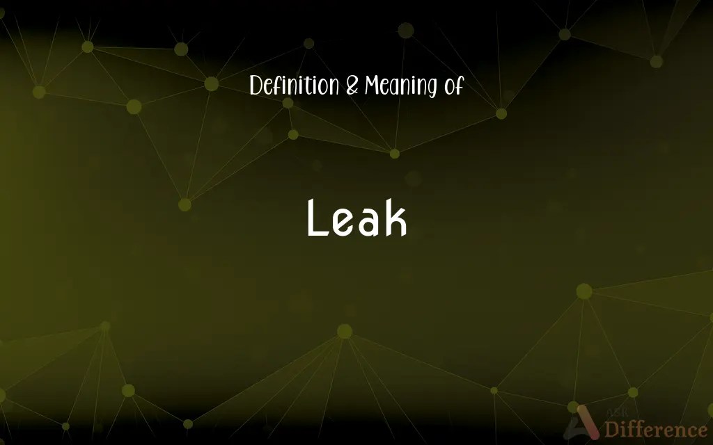 Leak Definition and Meaning