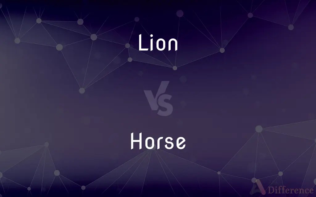 Lion vs. Horse — What’s the Difference?