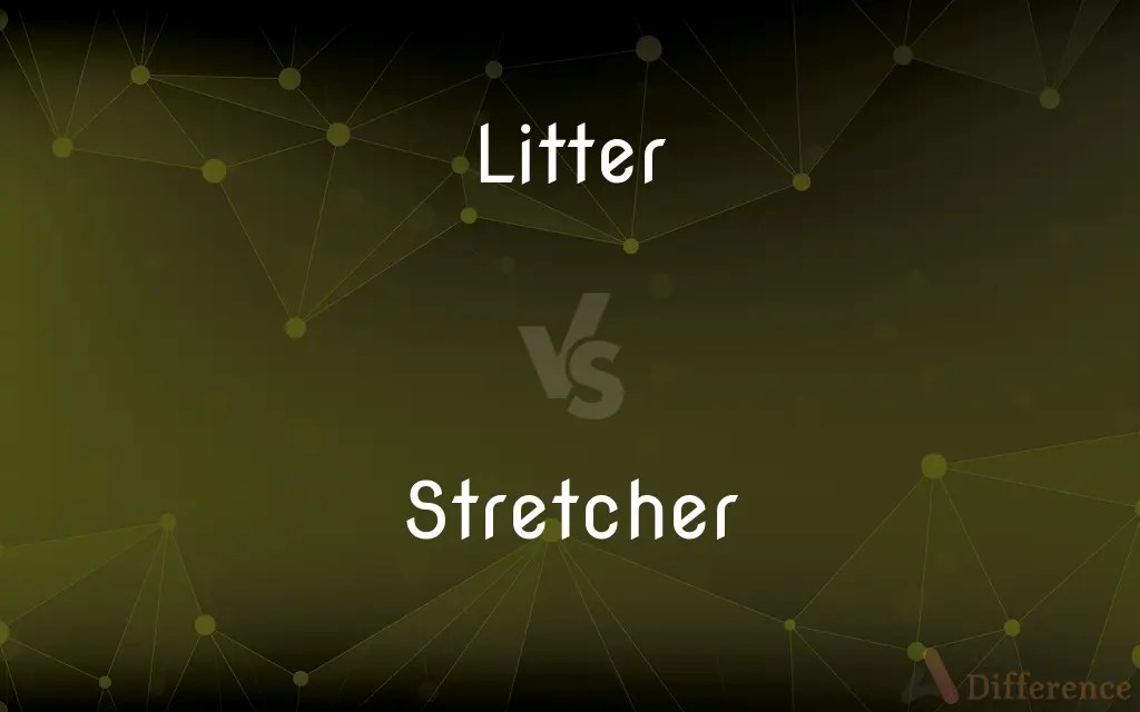 Litter vs. Stretcher — What’s the Difference?