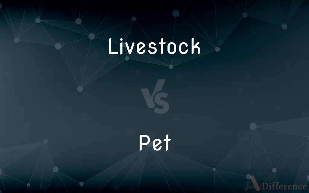 Livestock vs. Pet — What’s the Difference?