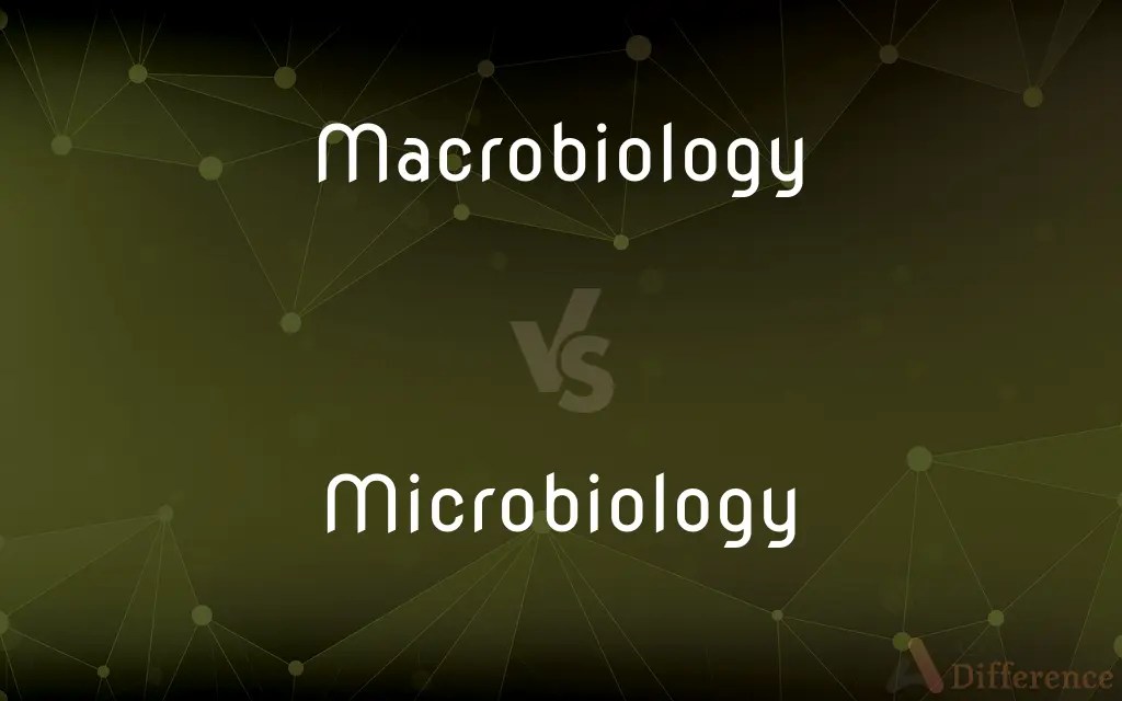 Macrobiology vs. Microbiology — What’s the Difference?