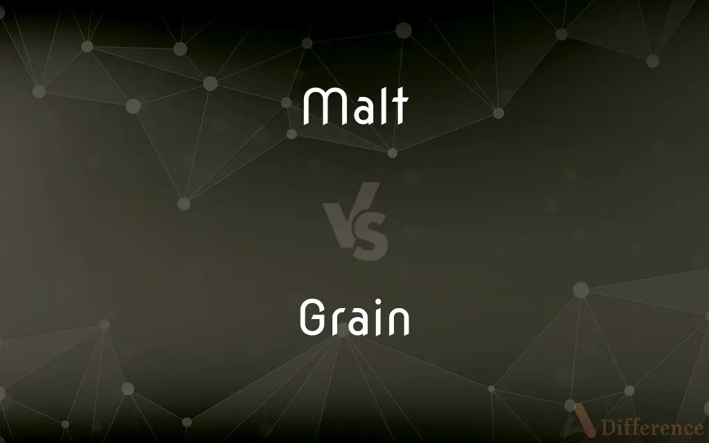 Malt vs. Grain — What’s the Difference?