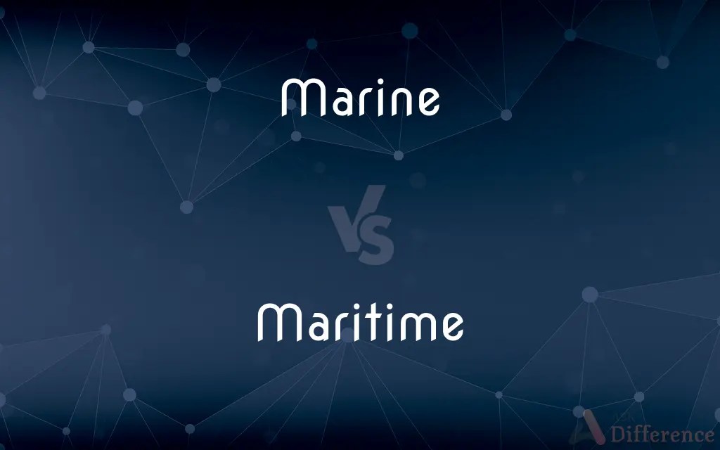 Marine vs. Maritime — What’s the Difference?