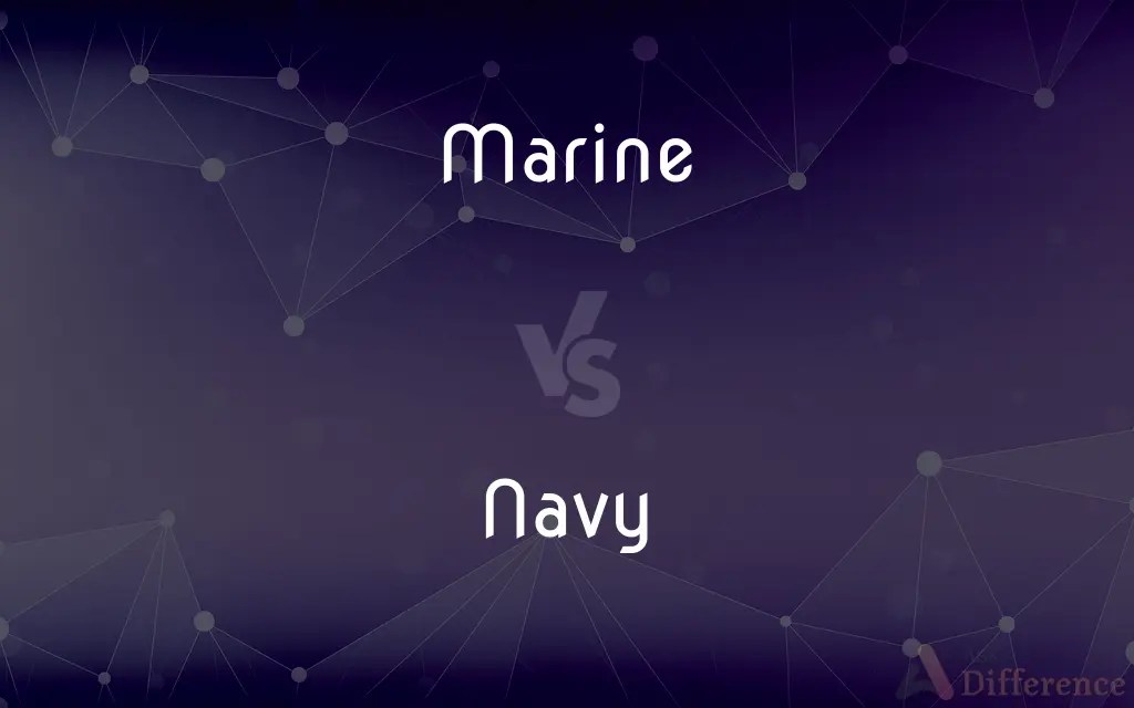 Marine vs. Navy — What’s the Difference?