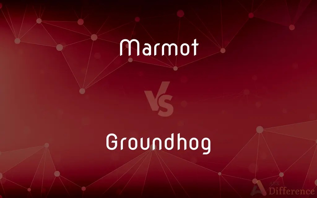 Marmot vs. Groundhog — What’s the Difference?