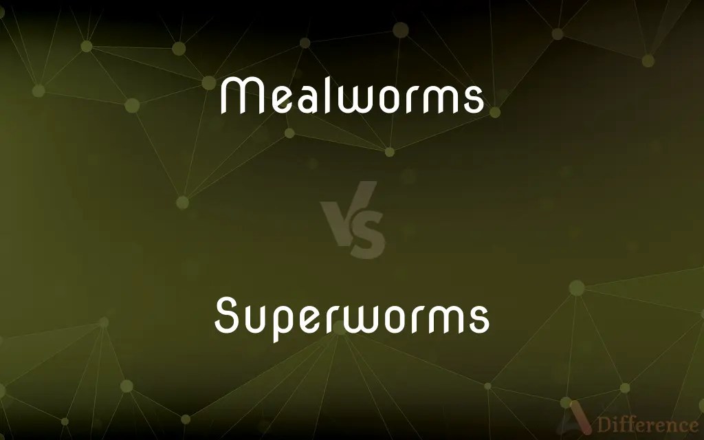 Mealworms vs. Superworms — What’s the Difference?