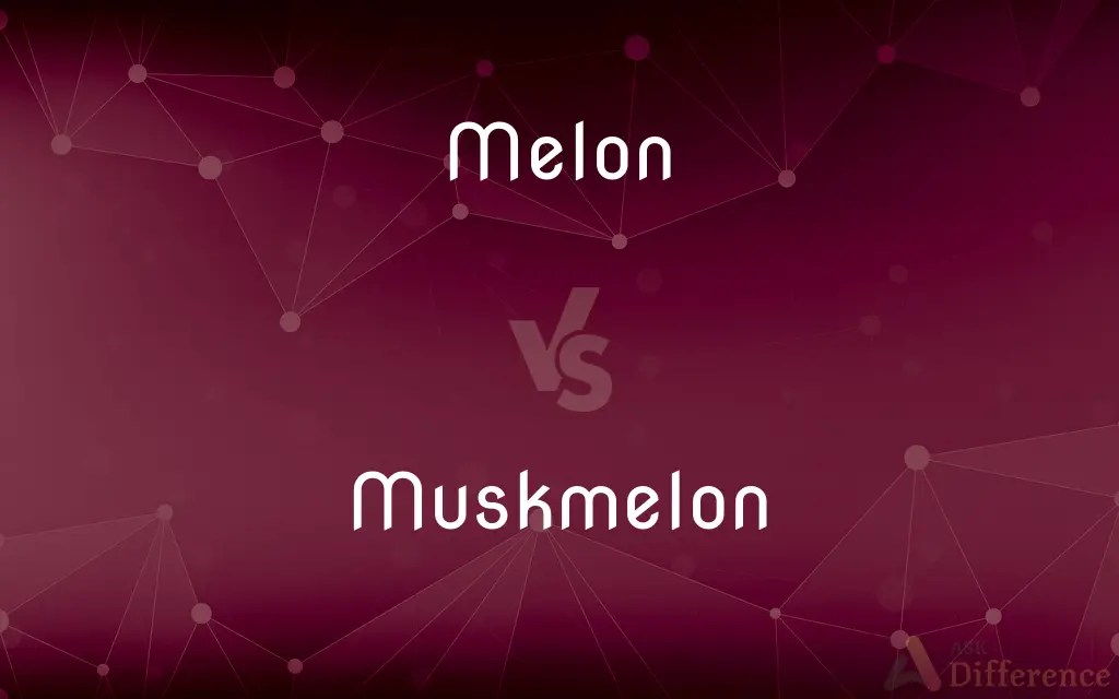 Melon vs. Muskmelon — What’s the Difference?